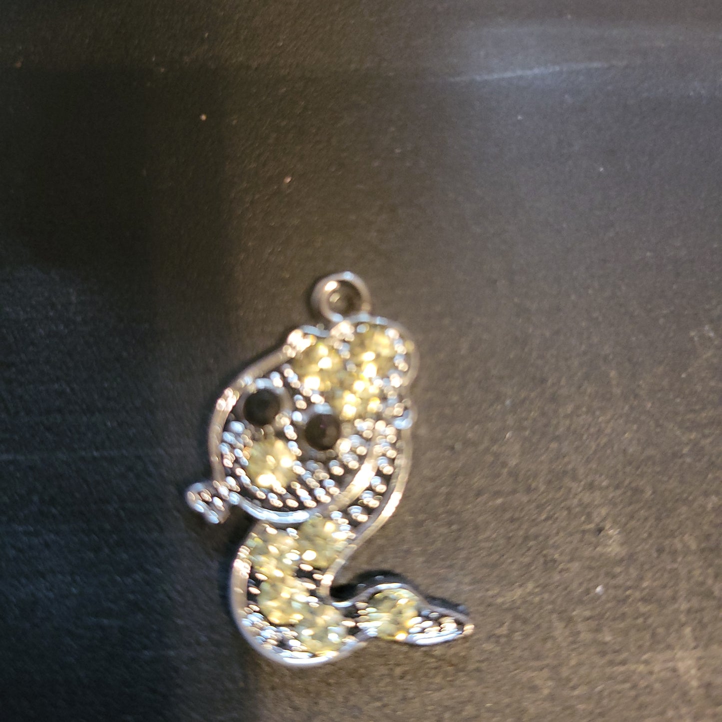 snake charms