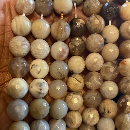 Ocean fossil agate